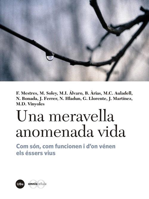 UNA MERAVELLA ANOMENADA VIDA | 9788447540310 | A.A.D.D. | Llibreria Geli - Llibreria Online de Girona - Comprar llibres en català i castellà