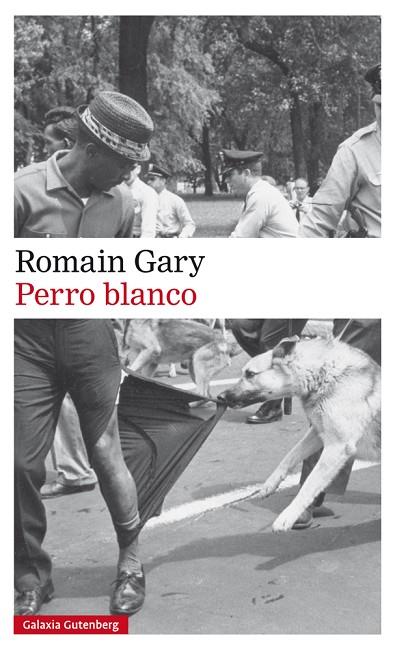 PERRO BLANCO | 9788417355586 | GARY,ROMAIN | Llibreria Geli - Llibreria Online de Girona - Comprar llibres en català i castellà