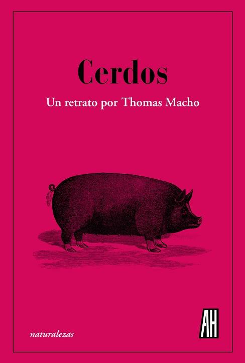 CERDOS.UN RETRATO POR THOMAS MACHO | 9788412403398 | MACHO, THOMAS | Llibreria Geli - Llibreria Online de Girona - Comprar llibres en català i castellà