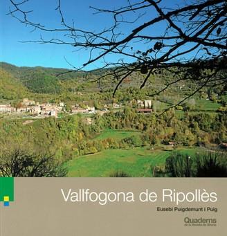 VALLFOGONA DEL RIPOLLÈS | 9788418734205 | PUIGDEMUNT PUIG,EUSEBI | Libreria Geli - Librería Online de Girona - Comprar libros en catalán y castellano