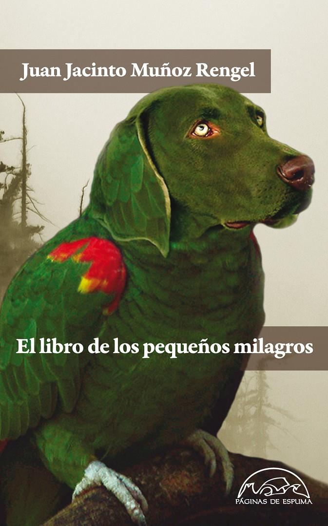 EL LIBRO DE LOS PEQUEÑOS MILAGROS | 9788483931462 | MUÑOZ RENGEL,JUAN JACINTO | Llibreria Geli - Llibreria Online de Girona - Comprar llibres en català i castellà