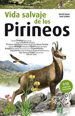 VIDA SALVAJE DE LOS PIRINEOS | 9788415885542 | GUIXÉ COROMINES,DAVID | Llibreria Geli - Llibreria Online de Girona - Comprar llibres en català i castellà