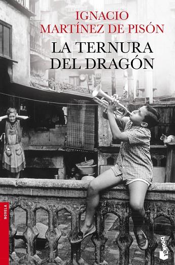 LA TERNURA DEL DRAGON | 9788432250989 | MARTINEZ DE PISON,IGNACIO | Llibreria Geli - Llibreria Online de Girona - Comprar llibres en català i castellà