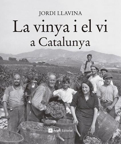 LA VINYA I EL VI A CATALUNYA | 9788416139187 | LLAVINA,JORDI | Llibreria Geli - Llibreria Online de Girona - Comprar llibres en català i castellà