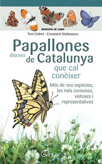 PAPALLONES DIÜRNES DE CATALUNYA | 9788490346754 | LLOBET FRANÇOIS,TONI/STEFANESCU,CONSTANTÍ | Llibreria Geli - Llibreria Online de Girona - Comprar llibres en català i castellà
