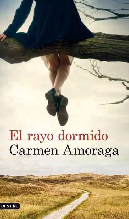 EL RAYO DORMIDO | 9788423327133 | AMORAGA,CARMEN | Llibreria Geli - Llibreria Online de Girona - Comprar llibres en català i castellà