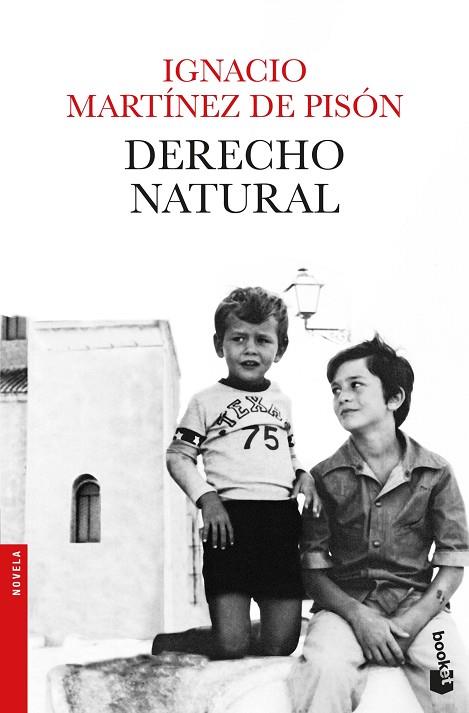 DERECHO NATURAL | 9788432234279 | MARTÍNEZ DE PISÓN,IGNACIO | Llibreria Geli - Llibreria Online de Girona - Comprar llibres en català i castellà