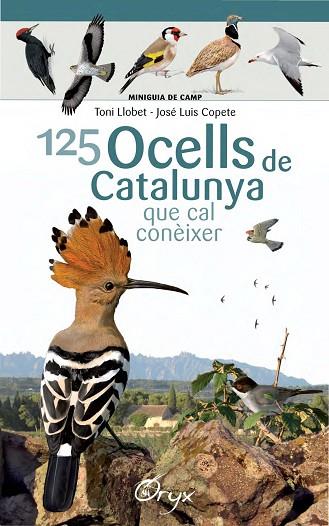 125 OCELLS DE CATALUNYA | 9788490346747 | LLOBET FRANÇOIS,TONI/COPETE,JOSÉ LUIS | Llibreria Geli - Llibreria Online de Girona - Comprar llibres en català i castellà