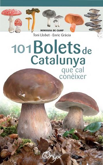 101 BOLETS DE CATALUNYA | 9788490347096 | LLOBET,TONI/GRÀCIA,ENRIC | Llibreria Geli - Llibreria Online de Girona - Comprar llibres en català i castellà