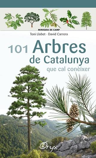 101 ARBRES DE CATALUNYA | 9788490346778 | LLOBET FRANÇOIS,TONI/CARRERA BONET,DAVID | Llibreria Geli - Llibreria Online de Girona - Comprar llibres en català i castellà