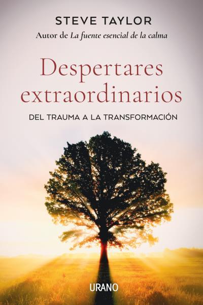 DESPERTARES EXTRAORDINARIOS | 9788418714061 | TAYLOR,STEVE | Llibreria Geli - Llibreria Online de Girona - Comprar llibres en català i castellà