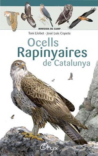 OCELLS RAPINYAIRES DE CATALUNYA | 9788490346785 | LLOBET FRANÇOIS,TONI/COPETE,JOSÉ LUIS | Llibreria Geli - Llibreria Online de Girona - Comprar llibres en català i castellà