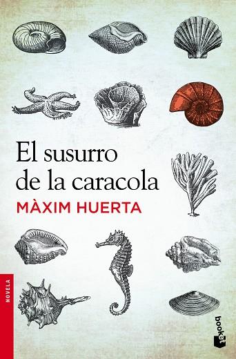 EL SUSURRO DE LA CARACOLA | 9788427030251 | HUERTA,MÀXIM | Llibreria Geli - Llibreria Online de Girona - Comprar llibres en català i castellà