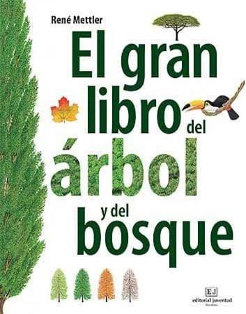 EL GRAN LIBRO DEL ÁRBOL Y DEL BOSQUE | 9788426139399 | METTLER,RENÉ | Libreria Geli - Librería Online de Girona - Comprar libros en catalán y castellano