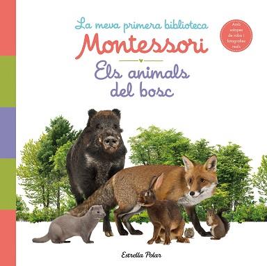 ELS ANIMALS DEL BOSC(LA MEVA PRIMERA BIBLIOTECA MONTESSORI) | 9788413890159 | AA. VV. | Libreria Geli - Librería Online de Girona - Comprar libros en catalán y castellano