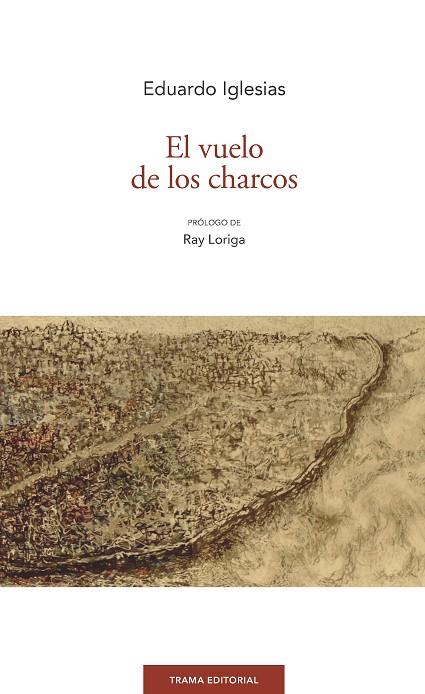 EL VUELO DE LOS CHARCOS | 9788494846519 | IGLESIAS,EDUARDO | Libreria Geli - Librería Online de Girona - Comprar libros en catalán y castellano