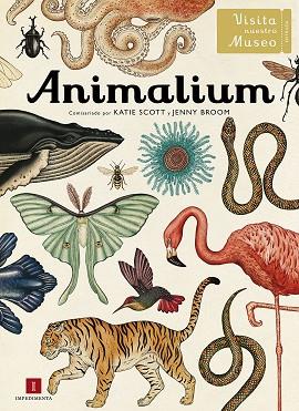 ANIMALIUM(CASTELLANO) | 9788415979463 | SCOTT,KATTIE/BROOM,JENNY | Libreria Geli - Librería Online de Girona - Comprar libros en catalán y castellano