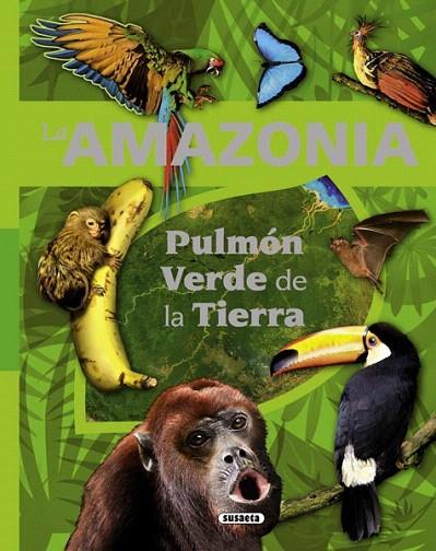 LA AMAZONIA,PULMON VERDE DE LA TIERRA | 9788467716191 | RODRIGUEZ,CARMEN | Llibreria Geli - Llibreria Online de Girona - Comprar llibres en català i castellà