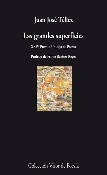 LAS GRANDES SUPERFICIES | 9788498957525 | TELLEZ,JUAN JOSE | Llibreria Geli - Llibreria Online de Girona - Comprar llibres en català i castellà