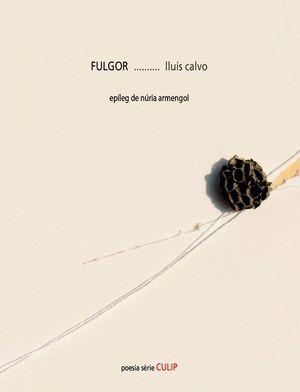 FULGOR | 9788481289862 | CALVO,LLUÍS | Libreria Geli - Librería Online de Girona - Comprar libros en catalán y castellano