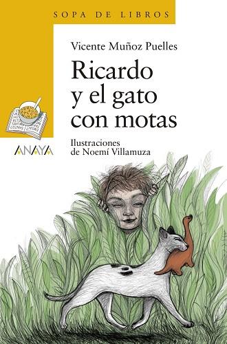 RICARDO Y EL GATO CON MOTAS | 9788469848272 | MUÑOZ PUELLES,VICENTE | Libreria Geli - Librería Online de Girona - Comprar libros en catalán y castellano