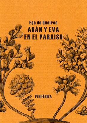 ADAN Y EVA EN EL PARAISO | 9788492865444 | DE QUEIROS,EÇA | Llibreria Geli - Llibreria Online de Girona - Comprar llibres en català i castellà