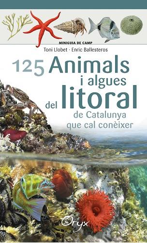 125 ANIMALS I ALGUES DEL LITORAL DE CATALUNYA | 9788490347416 | BALLESTEROS SAGARRA,ENRIC | Libreria Geli - Librería Online de Girona - Comprar libros en catalán y castellano
