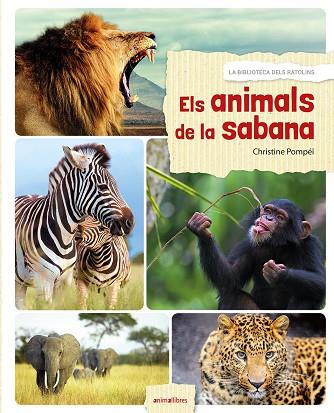 ELS ANIMALS DE LA SABANA | 9788416844524 | POMPÉÏ,CHRISTINE | Llibreria Geli - Llibreria Online de Girona - Comprar llibres en català i castellà