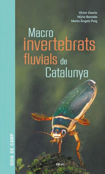 MACROINVERTEBRATS FLUVIALS DE CATALUNYA | 9788418096204 | OSORIO ÁLVAREZ,VÍCTOR/PUIG GARCÍA,M. ÁNGELES/BONADA CAPARRÓS,NÚRIA | Libreria Geli - Librería Online de Girona - Comprar libros en catalán y castellano