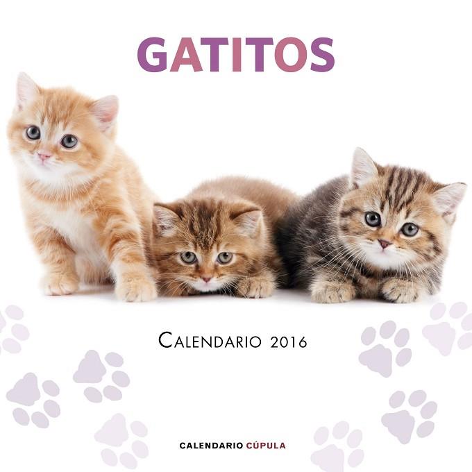 CALENDARIO GATITOS 2016 | 9788448021719 | AA. VV. | Libreria Geli - Librería Online de Girona - Comprar libros en catalán y castellano