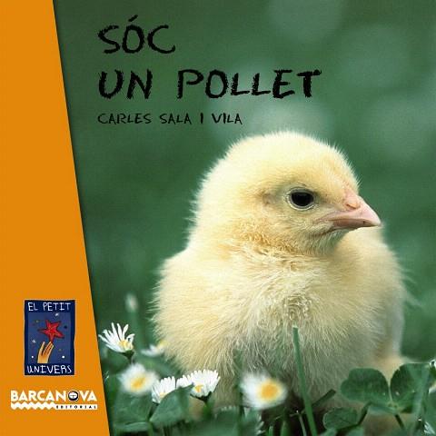 SOC UN POLLET | 9788448926618 | SALA VILA,CARLES | Libreria Geli - Librería Online de Girona - Comprar libros en catalán y castellano