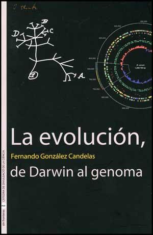 LA EVOLUCION DE DARWIN AL GENOMA | 9788437075464 | GONZALEZ CANDELAS,FERNANDO | Libreria Geli - Librería Online de Girona - Comprar libros en catalán y castellano