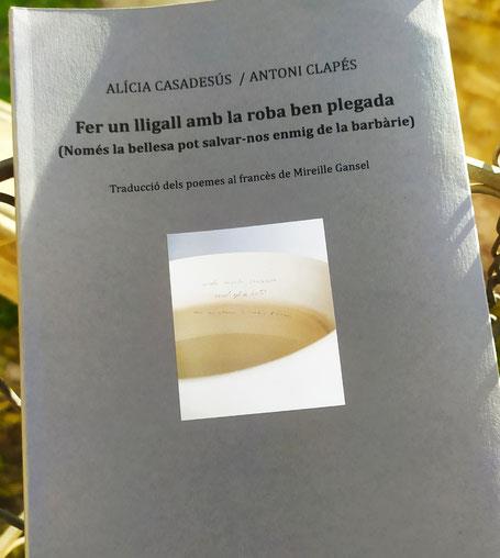 FER UN LLIGALL AMB LA ROBA BEN PLEGADA | 9788481280371 | CASADESUS,ALICIA/CLAPES,ANTONI | Libreria Geli - Librería Online de Girona - Comprar libros en catalán y castellano
