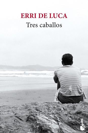 TRES CABALLOS | 9788432236921 | DE LUCA,ERRI | Libreria Geli - Librería Online de Girona - Comprar libros en catalán y castellano