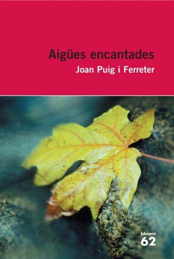 AIGUES ENCANTADES(INCLOU RECURS DIGITAL) | 9788492672431 | PUIG I FERRETER,JOAN | Libreria Geli - Librería Online de Girona - Comprar libros en catalán y castellano