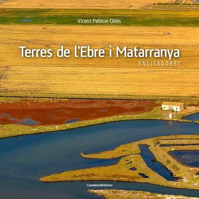 TERRES DE L'EBRE I MATARRANYA | 9788490345467 | PELLICER OLLÉS,VICENT | Libreria Geli - Librería Online de Girona - Comprar libros en catalán y castellano