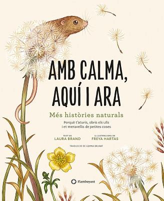 AMB CALMA,AQUÍ I ARA | 9788419401120 | BRAND,LAURA | Libreria Geli - Librería Online de Girona - Comprar libros en catalán y castellano