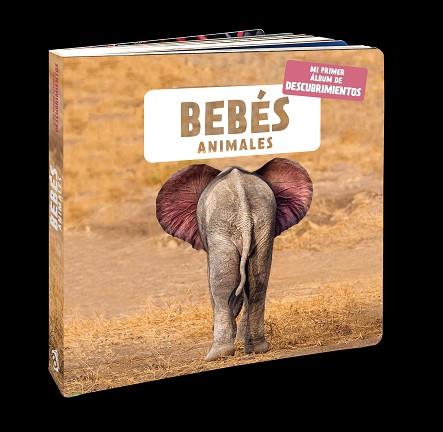 BEBÉS ANIMALES | 9788418762116 | NATURAGENCY | Llibreria Geli - Llibreria Online de Girona - Comprar llibres en català i castellà