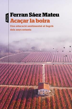 ACAÇAR LA BOIRA | 9788498095203 | SAEZ MATEU,FERRAN | Libreria Geli - Librería Online de Girona - Comprar libros en catalán y castellano