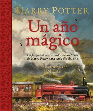 HARRY POTTER.UN AÑO MÁGICO | 9788418797125 | KAY,JIM/ROWLING,J.K. | Libreria Geli - Librería Online de Girona - Comprar libros en catalán y castellano