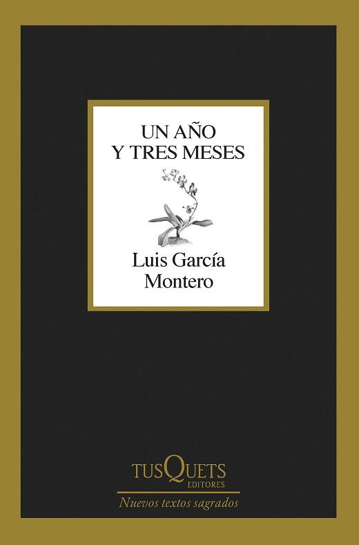 UN AÑO Y TRES MESES | 9788411071475 | GARCÍA MONTERO,LUIS | Libreria Geli - Librería Online de Girona - Comprar libros en catalán y castellano