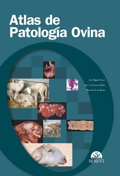 ATLAS DE PATOLOGIA OVINA | 9788493292119 | FERRER MAYAYO,LUIS MIGUEL | Llibreria Geli - Llibreria Online de Girona - Comprar llibres en català i castellà