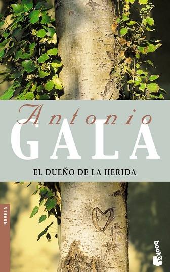 EL DUEÑO DE LA HERIDA | 9788408052159 | GALA,ANTONIO | Llibreria Geli - Llibreria Online de Girona - Comprar llibres en català i castellà