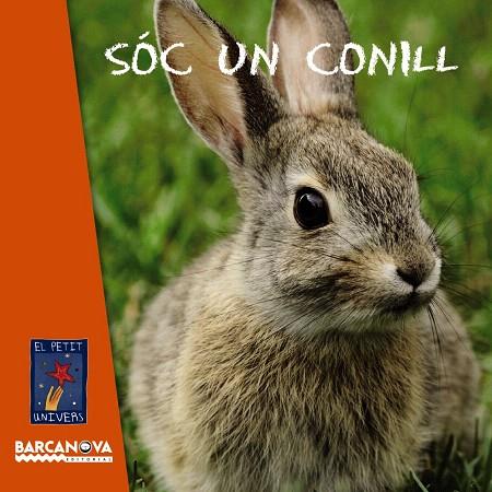 SÓC UN CONILL | 9788448932770 | EQUIP BARCANOVA | Llibreria Geli - Llibreria Online de Girona - Comprar llibres en català i castellà