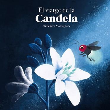EL VIATGE DE LA CANDELA | 9788410074415 | ALESSANDRO MONTAGNANA | Llibreria Geli - Llibreria Online de Girona - Comprar llibres en català i castellà
