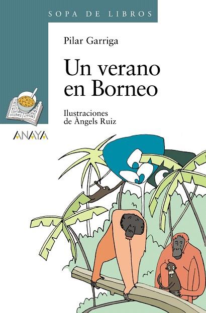 UN VERANO EN BORNEO | 9788466784283 | GARRIGA,PILAR | Libreria Geli - Librería Online de Girona - Comprar libros en catalán y castellano