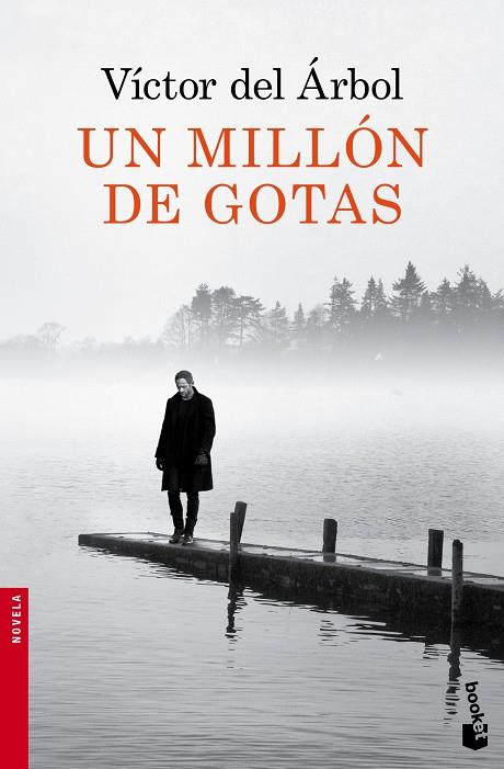 UN MILLÓN DE GOTAS | 9788423349418 | DEL ÁRBOL,VICTOR | Libreria Geli - Librería Online de Girona - Comprar libros en catalán y castellano