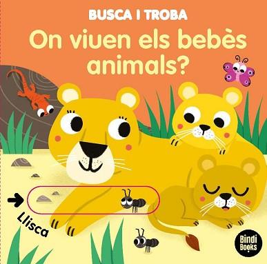 ON VIUEN ELS BEBÈS ANIMALS?.LLIBRES AMB SOLAPES DOBLES | 9788418288005 | BARETTI,SONIA | Llibreria Geli - Llibreria Online de Girona - Comprar llibres en català i castellà