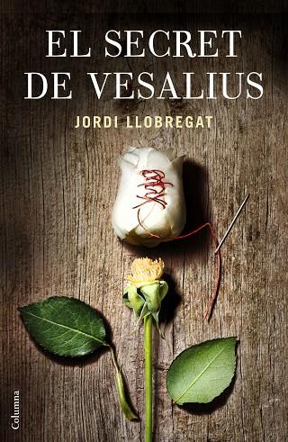 EL SECRET DE VESALIUS | 9788466419703 | LLOBREGAT,JORDI | Libreria Geli - Librería Online de Girona - Comprar libros en catalán y castellano