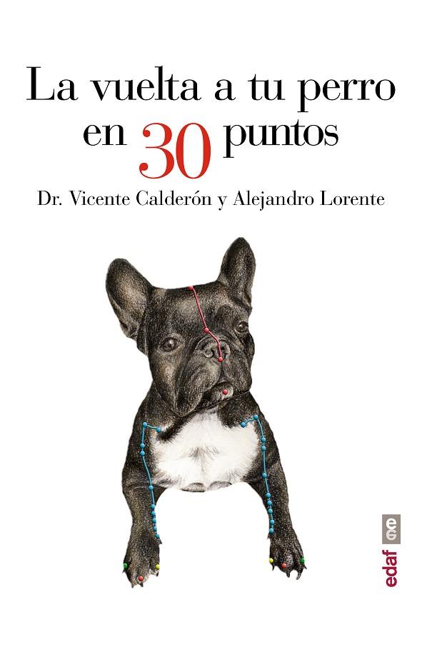 LA VUELTA A TU PERRO EN 30 PUNTOS | 9788441435483 | CALDERÓN,DR. VICENTE/LORENTE,ALEJANDRO | Llibreria Geli - Llibreria Online de Girona - Comprar llibres en català i castellà